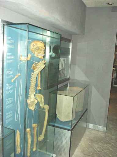bil517.jpg