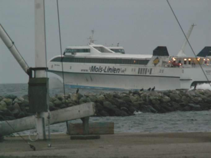 bil595.jpg