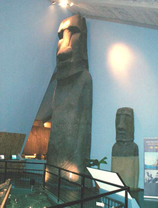 bil564.jpg
